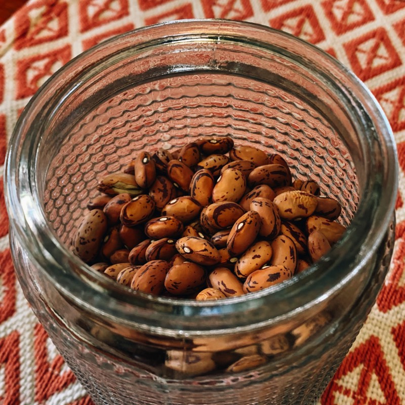Borlotti Beans