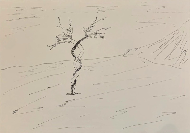 Living Growing by LA Davenport