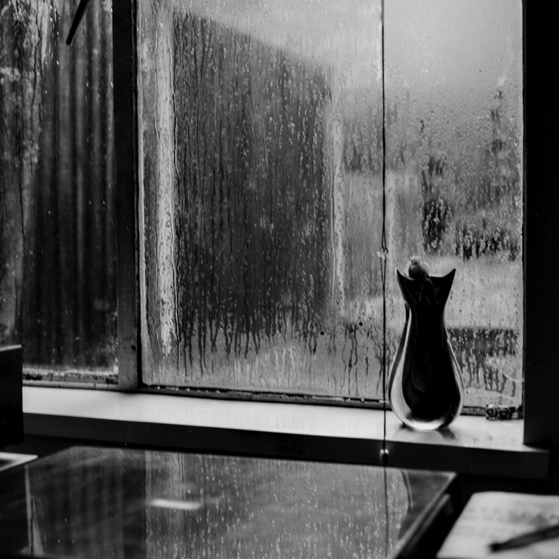 The Window by LA Davenport